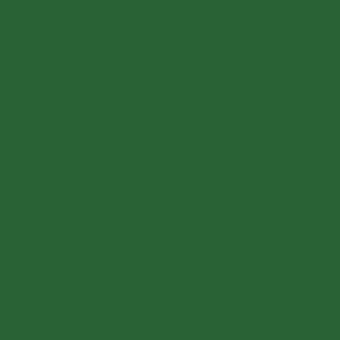 Лиственно-зелёный RAL 6002