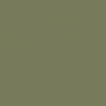 Тростниково-зелёный RAL 6013