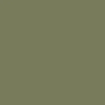 Тростниково-зелёный RAL 6013