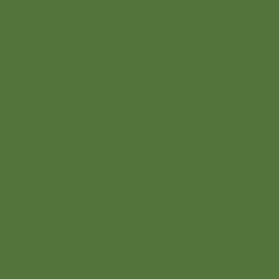 Папоротниково-зелёный RAL 6025