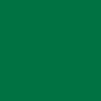 Мятно-зелёный RAL 6029