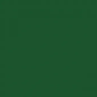 Перламутрово-зелёный RAL 6035